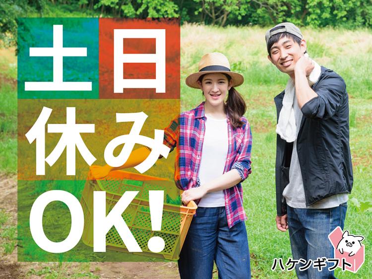 （16時～・週3日～OK）レジ係・現金扱いナシ　残業なし