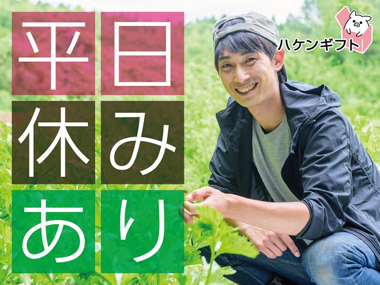 （人間関係良好）時給1350円の倉庫内仕分け・軽作業　送迎有