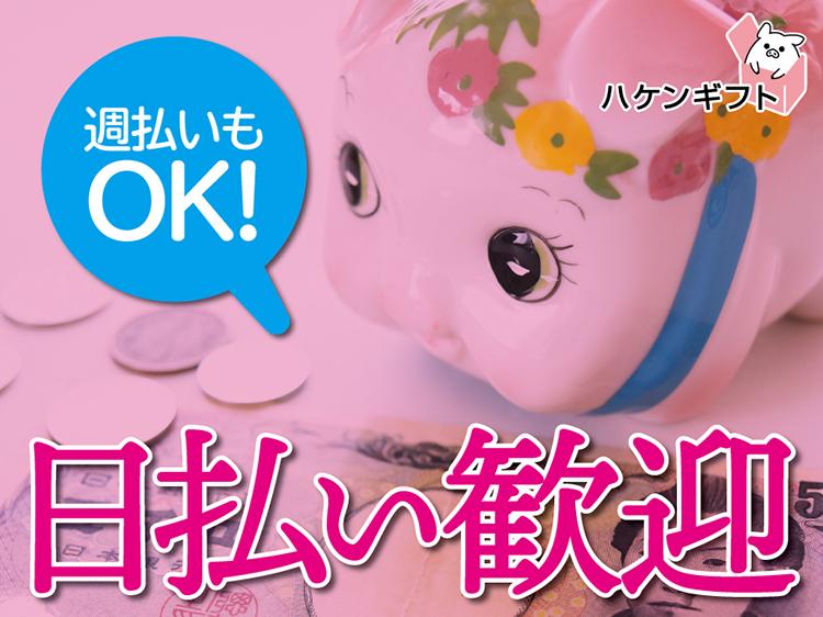 （未経験OK）医薬品のピッキング／1日5時間／モクモク作業